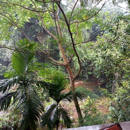 Old Bridge Riverside Hotel Kitulgala Bagian luar foto